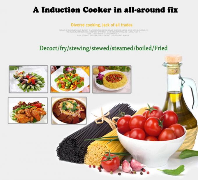 induction and halogen cooker heavy duty 25kw FCC+CE+CC